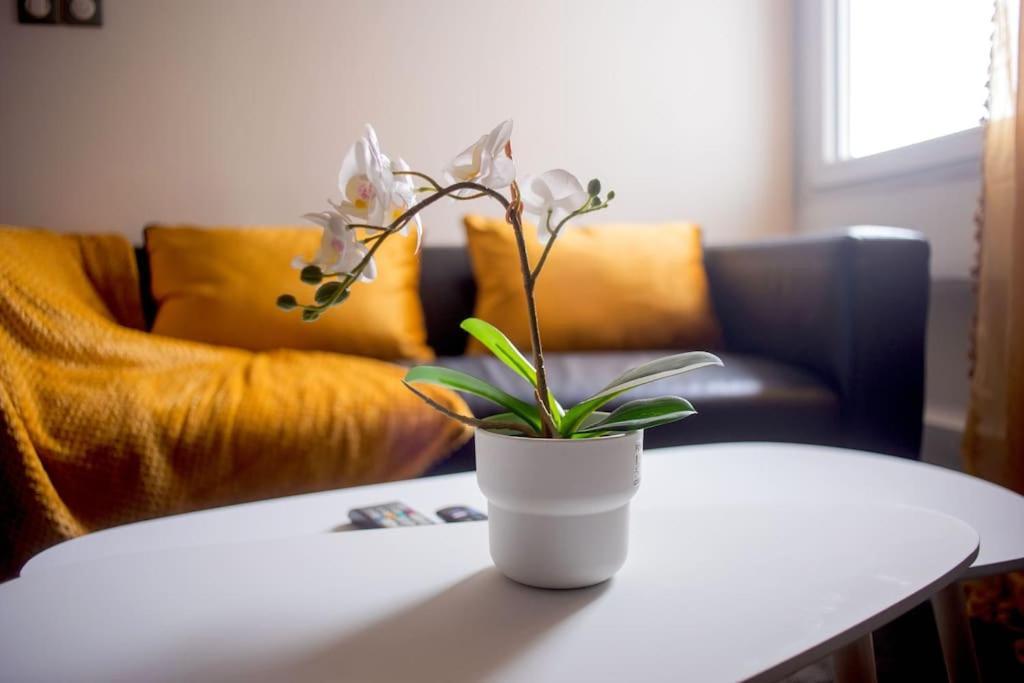 T2 Cosy & Moderne Avec Parking Prive Gratuit A Villeurbanne Exterior photo